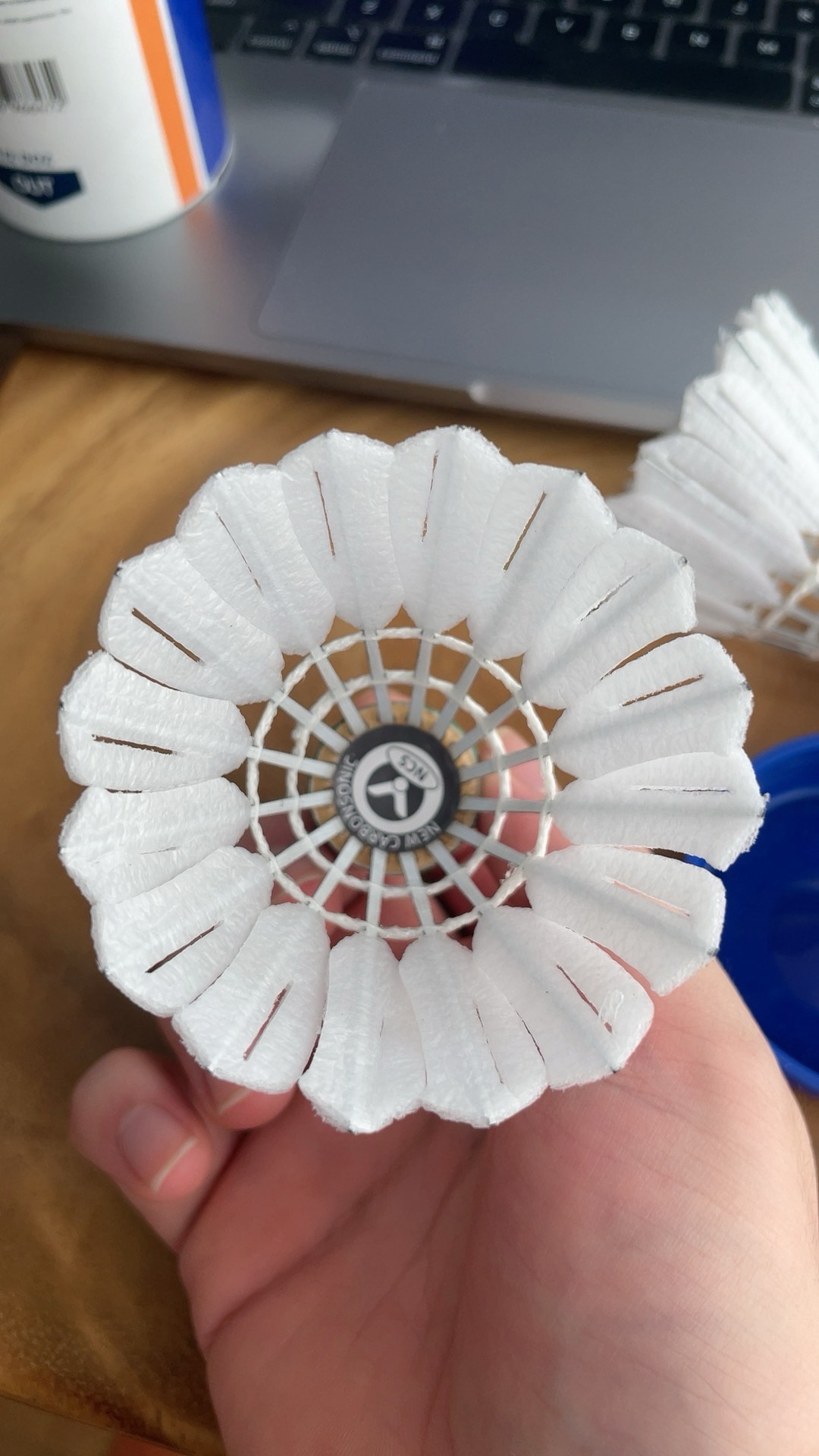 次训练营 次训练营