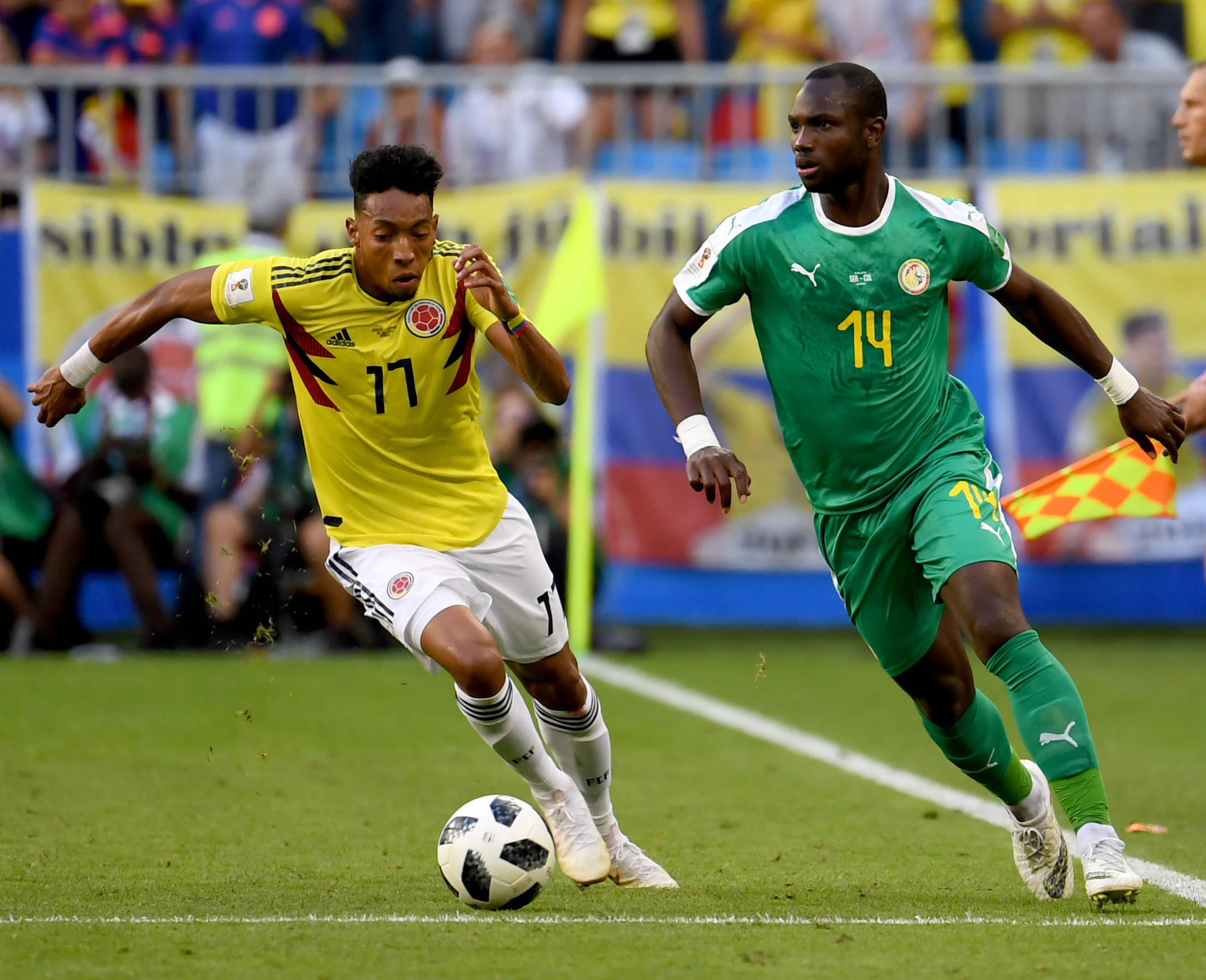 的稳定因素 的稳定因素