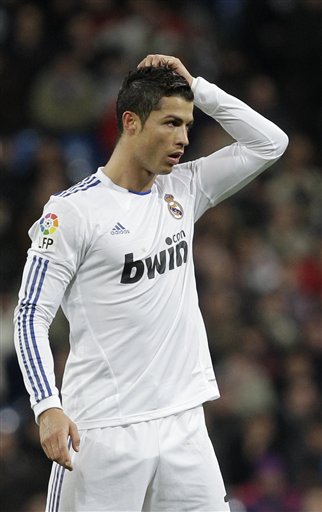 提供了新的 提供了新的