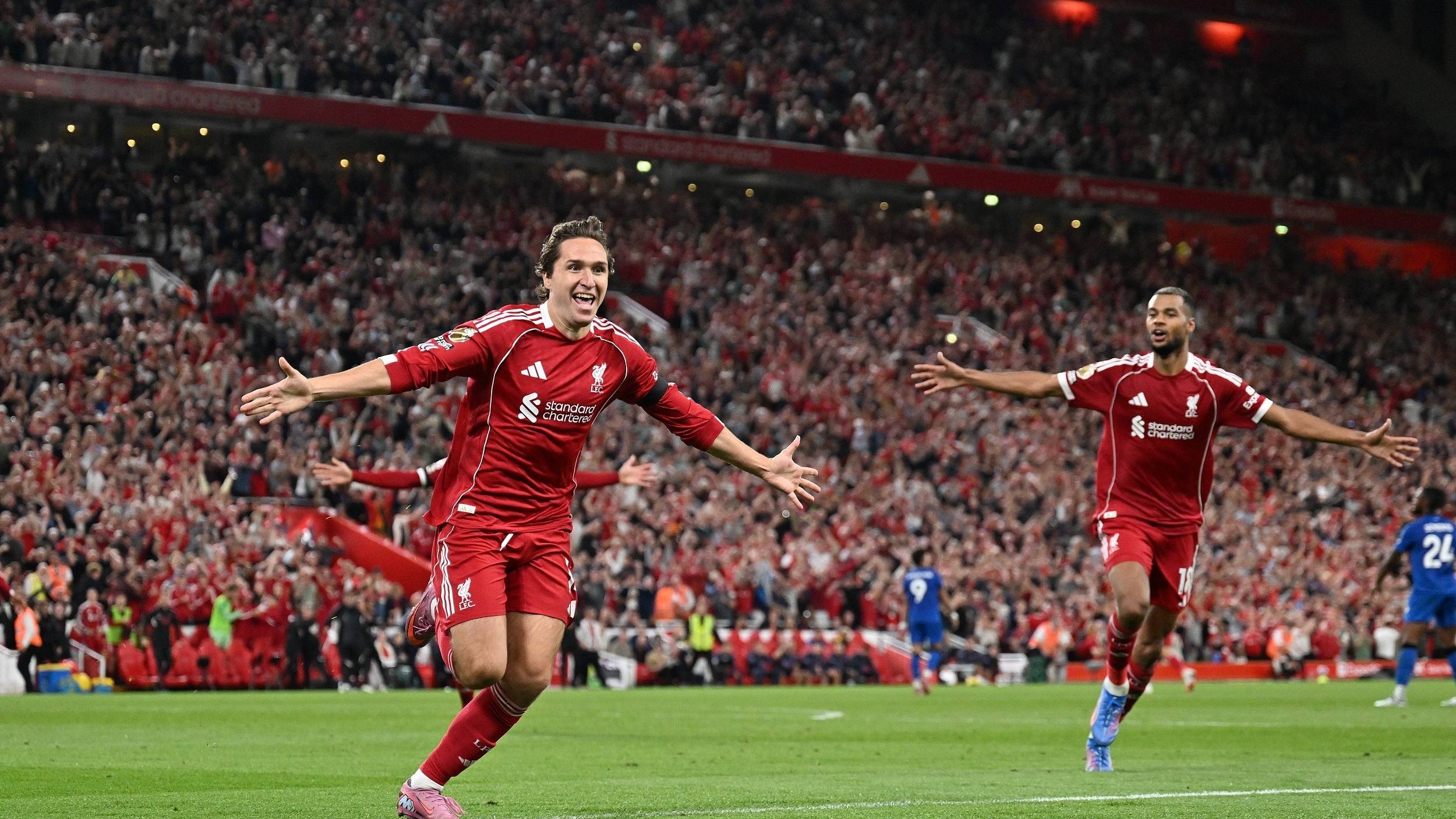 成为了他们 成为了他们