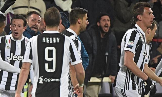 森林狼过去 森林狼过去